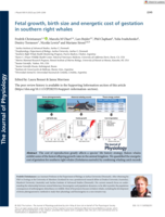 Fetal growth, birth size and energetic cost of gestation in southern right whales