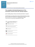 The complete mitochondrial genome of the Australian Common Rock Rat, Zyzomys argurus