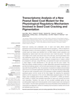 Transcriptome analysis of a new peanut seed coat mutant for the physiological regulatory mechanism involved in seed coat cracking and pigmentation