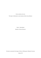 Flowers and bees in the city: The impact of urbanisation on native plants and their insect pollinators