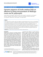 Genome sequence of Ensifer medicae Di28; an effective N2-fixing microsymbiont of Medicago murex and M. polymorpha