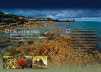Life on the edge: intertidal reefs of the Marmion and Shoalwater Islands marine parks