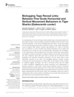 Biologging tags reveal links between Fine-Scale Horizontal and Vertical Movement Behaviors in Tiger Sharks (Galeocerdo cuvier)