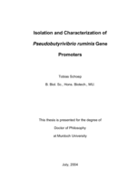 Isolation and characterization of Pseudobutyrivibrio ruminis gene promoters