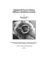Hepatitis B virus in silvery gibbons (Hylobates moloch)