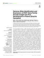 Genome-Wide Identification and Expression of FAR1 Gene Family Provide Insight Into Pod Development in Peanut (Arachis hypogaea)