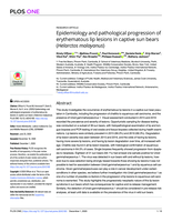 Epidemiology and pathological progression of erythematous lip lesions in captive sun bears (Helarctos malayanus)