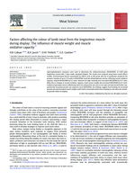 Factors affecting the colour of lamb meat from the longissimus muscle during display: The influence of muscle weight and muscle oxidative capacity