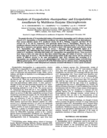 Analysis of Erysipelothrix rhusiopathiae and Erysipelothrix tonsillarum by multilocus enzyme electrophoresis