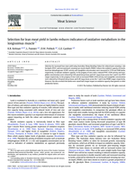 Selection for lean meat yield in lambs reduces indicators of oxidative metabolism in the longissimus muscle