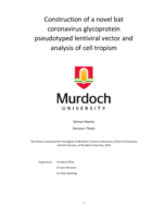 Construction of a novel bat coronavirus glycoprotein pseudotyped lentiviral vector and analysis of cell tropism