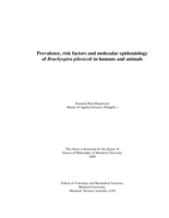 Prevalence, risk factors and molecular epidemiology  of Brachyspira pilosicoli in humans and animals