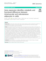 Gene expression identifies metabolic and functional differences between intramuscular and subcutaneous adipocytes in cattle