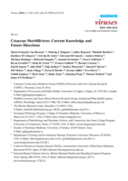 Cetacean morbillivirus: Current knowledge and future directions