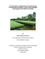 The description, pathogenicity and epidemiology of Phytophthora boodjera, a new nursery pathogen of Eucalyptus from Western Australia
