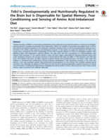 Trib3 is developmentally and nutritionally regulated in the brain but is dispensable for spatial memory, fear conditioning and sensing of amino acid-imbalanced diet