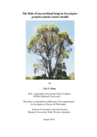 The role of mycorrhizal fungi in Eucalyptus gomphocephala (Tuart) health
