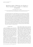 Reproductive biology of Rhabdosargus sarba (Sparidae) in Western Australian waters, in which it is a rudimentary hermaphrodite