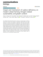 Impact and mechanism of sulphur-deficiency on modern wheat farming nitrogen-related sustainability and gliadin content