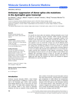 Antisense suppression of donor splice site mutations in the dystrophin gene transcript