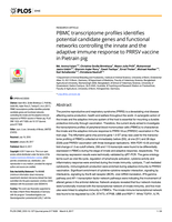 PBMC transcriptome profiles identifies potential candidate genes and functional networks controlling the innate and the adaptive immune response to PRRSV vaccine in Pietrain pig