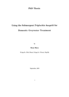 Using the submergent Triglochin huegelii for domestic greywater treatment