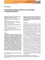 Clostridioides difficile infection and One Health: An equine perspective