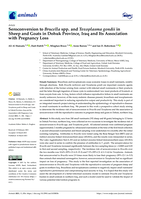 Seroconversion to Brucella spp. and Toxoplasma gondii in sheep and goats in Dohuk Province, Iraq and its association with pregnancy loss