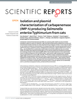 Isolation and plasmid characterization of carbapenemase (IMP-4) producing Salmonella enterica Typhimurium from cats