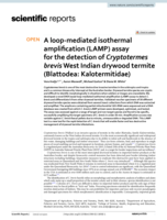 A loop-mediated isothermal amplification (LAMP) assay for the detection of Cryptotermes brevis West Indian drywood termite (Blattodea: Kalotermitidae)