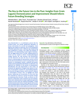 The key to the future lies in the past: Insights from grain legume domestication and improvement should inform future breeding strategies