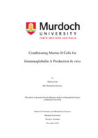 Conditioning murine B cells for immunoglobulin A production In vitro