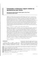 Colonization of Phaseolus vulgaris nodules by Agrobacterium -like strains