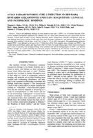 Avian paramyxovirus type 1 infection in houbara bustards (Chlamydotis undulata macqueenii): Clinical and pathologic findings