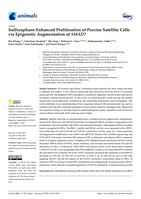 Sulforaphane enhanced proliferation of porcine satellite cells via epigenetic augmentation of SMAD7