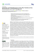 Grain zinc and yield responses of two rice varieties to zinc biofortification and water management