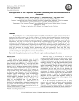 Soil application of zinc improves the growth, yield and grain zinc biofortification of mungbean