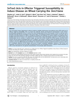 SnTox3 acts in effector triggered susceptibility to induce disease on wheat carrying the Snn3 gene