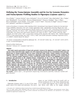 Defining the transcriptome assembly and its use for genome dynamics and transcriptome profiling studies in pigeonpea (Cajanus cajan L.)