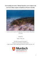 Fast-tracking succession: Utilising Halophila ovalis to improve the survival of climax seagrass transplants in Western Australia