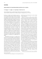 First report of Phaeophleospora destructans in China