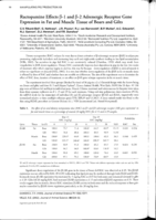 Ractopamine effects β-1 and β-2 adrenergic receptor geneexpression in fat and muscle tissue of boars and gilts