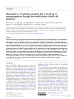 Muscarinic acetylcholine receptor M5 is involved in spermatogenesis through the modification of cell–cell junctions