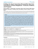 Profiling the dead: generating microsatellite data from fossil bones of extinct Megafauna — protocols, problems, and prospects