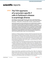 The TCR repertoire of α-synuclein-specific T cells in Parkinson’s disease is surprisingly diverse