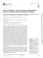 Escape of Hepatitis C virus from Epitope I neutralization increases sensitivity of other neutralization epitopes