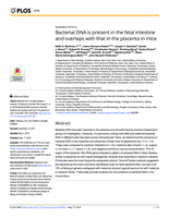 Bacterial DNA is present in the fetal intestine and overlaps with that in the placenta in mice