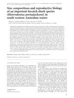 Size compositions and reproductive biology of an important bycatch shark species (Heterodontus portusjacksoni) in south-western Australian waters