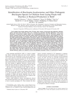 Identification of Brachyspira hyodysenteriae and other pathogenic Brachyspira species in chickens from laying flocks with diarrhea or reduced production or both
