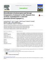 Diversification of primary gene pool through introgression of resistance to foliar diseases from synthetic amphidiploids to cultivated groundnut (Arachis hypogaea L.)